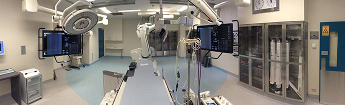 PPH-Hybrid-lab-image